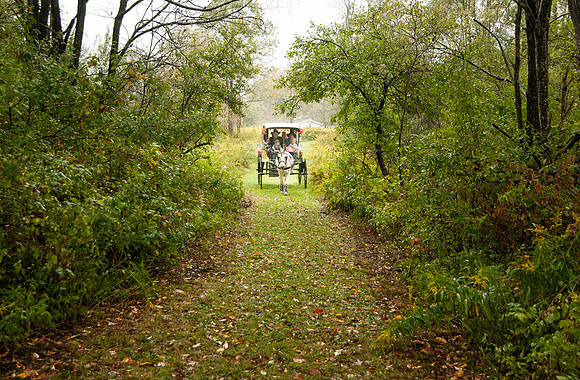 194_VVS1460-28469