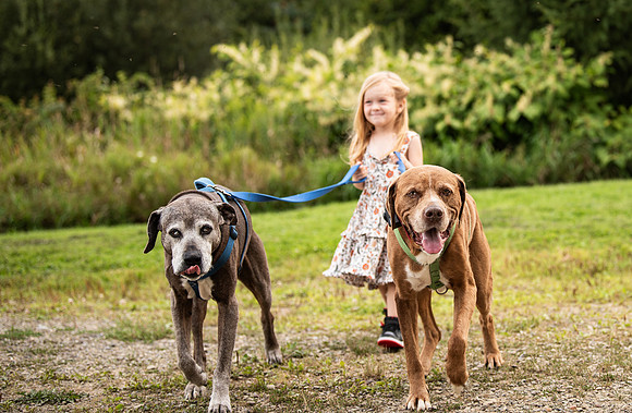 182JMS_2661-Edit