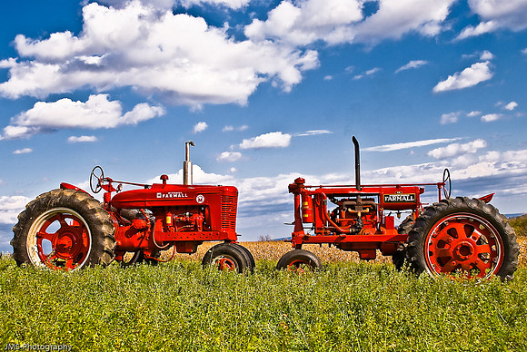 20081026-20081026-Carl's tractor show-6100-Edit.jpg